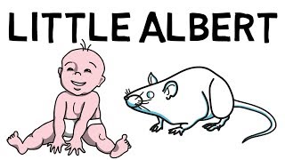 Das Little Albert Experiment erklärt Klassische Konditionierung [upl. by Airtemad444]