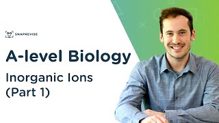 Inorganic Ions Part 1  Alevel Biology  OCR AQA Edexcel [upl. by Wulf]