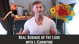 LCarnitine  How to Mobilize Fat amp Enhance Brain Health  Thomas DeLauer [upl. by Doig493]