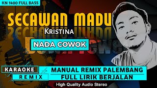 SECAWAN MADUNada Cowok  KARAOKE REMIX PALEMBANG [upl. by Oniram625]