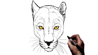 How To Draw A Panther  Step By Step [upl. by Maisel]