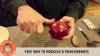 Fast Way to Process a Pomegranate [upl. by Acimahs]