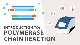 1 PCR Polymerase Chain Reaction Tutorial  An Introduction [upl. by Llenyt372]