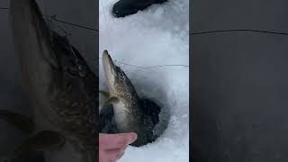 Ice Fishing Higgins Lake Roscommon Michigan [upl. by Foah823]