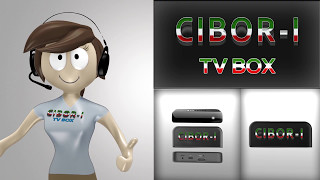 CIBORI INSTALLAZIONE  SET UP TUTORIAL [upl. by Zebapda481]