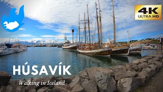 Iceland Walking Tour  Húsavík 4K [upl. by Ruddy]