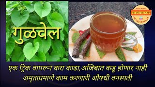 गुळवेल काढा अजिबात कडू न होणारा Gulvel extract बहुगुणी आरोग्यदायी immunity booster स्वयंपाकघर [upl. by Adeys]