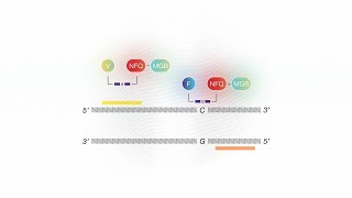 How it Works TaqMan SARSCoV2 Mutation Panel [upl. by Chaddie]