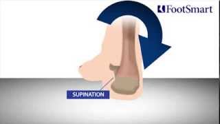 What is Supination [upl. by Meesan]