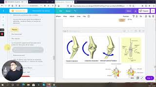 FLEXION et EXTENSION du GENOU  PHYSIOLOGIE ARTICULAIRE  BIOMÉCANIQUE [upl. by Nurse]