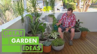 How to Grow and Care for Potted Plants  GARDEN  Great Home Ideas [upl. by Adnar]