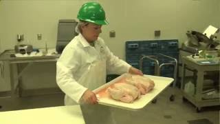 HACCP Food Safety Overview [upl. by Tillman]