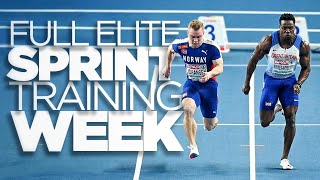 Elite Sprint Training Week  Road To 20 ³ [upl. by Masry794]