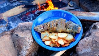 Catching amp Cooking Wild Trout Fish n’ Chips Over a Fire [upl. by Dupuy960]