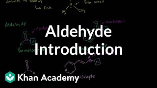 Aldehyde introduction  Aldehydes and ketones  Organic chemistry  Khan Academy [upl. by Laro450]