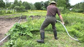 A modern Seymour Midwest Tools scythe at work [upl. by Zimmer]