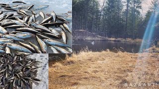 How To Ice Fish For Smelt On Higgins Lake  Steelhead And Trout Fishing In Small Clear Water Creeks [upl. by Nahgam]