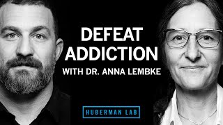 Dr Anna Lembke Understanding amp Treating Addiction [upl. by Erdnoid]