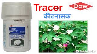 Dow Tracer  Tracer Insecticide  Spinosad 45 SC [upl. by Aivatan]