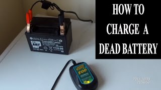 Dead Motorcycle Battery Recharge amp Connect TRICKLE CHARGER for Winter [upl. by Araccot]