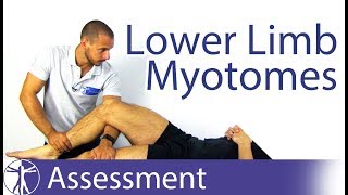 Myotomes Lower Limb  Peripheral Neurological Examination [upl. by Stafani]