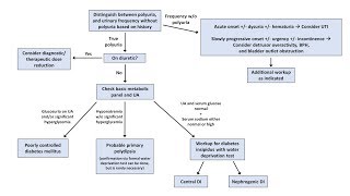 Sludge treatment and recovery  Veolia [upl. by Rawde]