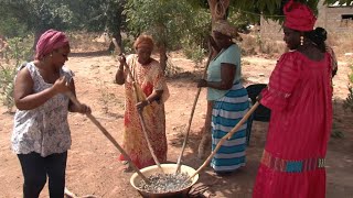 Sénégal  en Casamance lespoir dune nouvelle ère [upl. by Ardnasyl732]