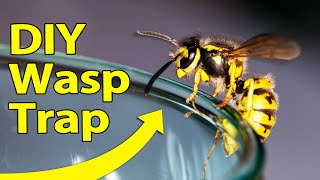 Wasp Trap [upl. by Gaylord]