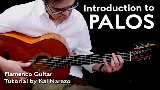 Introduction to Palos  Flamenco Guitar Tutorial by Kai Narezo [upl. by Haggi955]