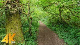 Outdoor Adventures to Try When Youre Feeling Restless [upl. by Assirolc832]