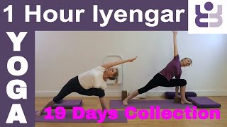 One Hour Iyengar Yoga Class  19 Days of Yoga Collection [upl. by Champaigne325]