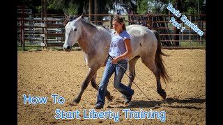 How To Start Liberty Training With Your Horse Basic Exercises Part 1 [upl. by Anaib]