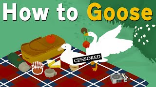 How to Goose [upl. by Sheya]