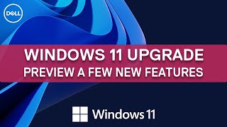 Windows 11 New Features  Dell Support [upl. by Ahseiyk]