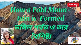 How a Fold Mountain is Formed [upl. by Hannad]