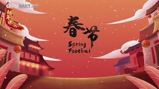 Festive China Spring Festival [upl. by Linc879]