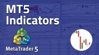 Using Indicators on MetaTrader 5 [upl. by Blair837]