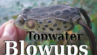 Big Topwater Frog Blowups in HD Hat Cam Bass [upl. by Hansiain]