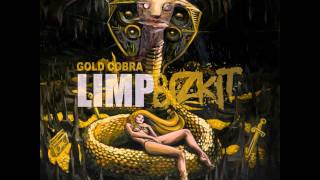 Limp Bizkit  Bring It Back Gold Cobra 2011 HDHQ [upl. by Saphra330]