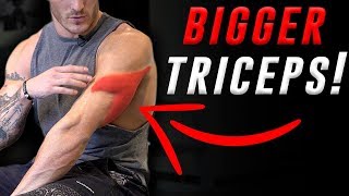 4 Exercises for Bigger Triceps DUMBBELLS ONLY  V SHRED [upl. by Grata500]