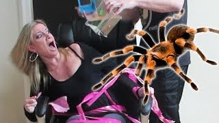 TERRIFYING TARANTULA PRANK [upl. by Selina]