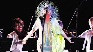 Björk statement to the press about her stalker London September 18 1996 [upl. by Hilario356]