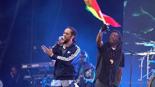 DAMIAN MARLEY  SABALI  THE ENDS FESTIVAL 2019 [upl. by Willdon349]