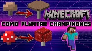 COMO PLANTAR CHAMPIÑONES EN MINECRAFT Tutorial Seta Roja o Marron GiganteEnorme [upl. by Marysa]