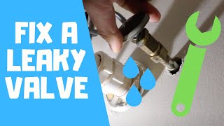 How To Fix A Leaky Shut Off Valve [upl. by Urd]