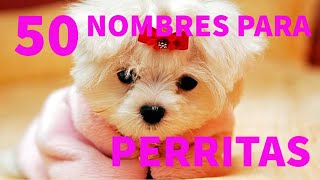 Los 50 mejores nombres para PERRITAS [upl. by Rosabella347]