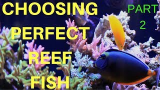 REEF SAFE FISH FOR THE MIXED REEF AQUARIUM COMMUNITY FISH PART 2 [upl. by Audly920]