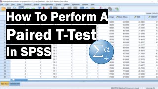 How To Perform A Paired TTest In SPSS [upl. by Montfort]