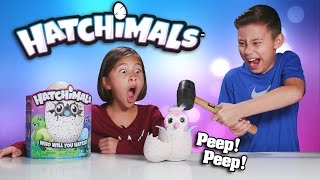 EVAN SMASHED MY HATCHIMALS Surprise Egg  Review amp Destroy [upl. by Francklin19]