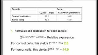 Real Time QPCR Data Analysis Tutorial part 2 [upl. by Gunn]